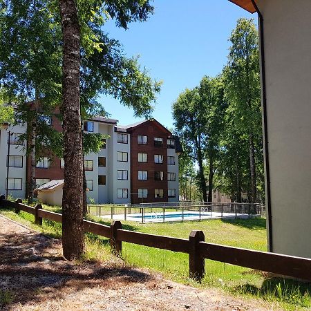 Apartament Depto Parque Suizo 800 Pucón Zewnętrze zdjęcie
