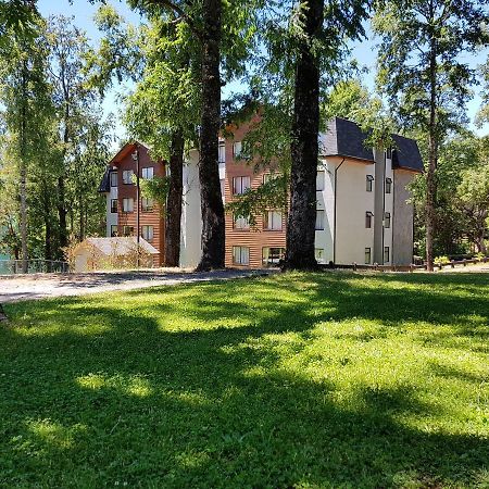 Apartament Depto Parque Suizo 800 Pucón Zewnętrze zdjęcie