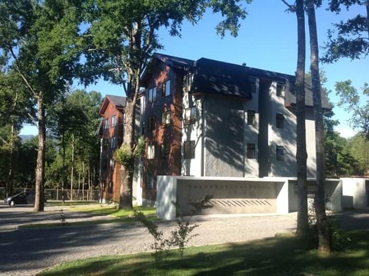Apartament Depto Parque Suizo 800 Pucón Zewnętrze zdjęcie