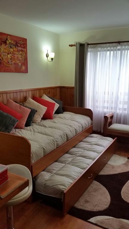 Apartament Depto Parque Suizo 800 Pucón Zewnętrze zdjęcie