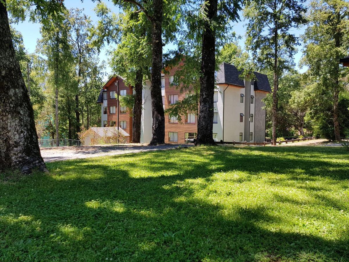 Apartament Depto Parque Suizo 800 Pucón Zewnętrze zdjęcie
