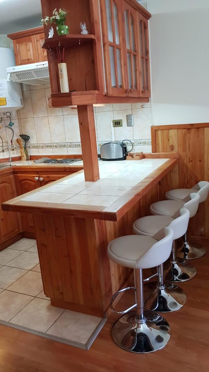 Apartament Depto Parque Suizo 800 Pucón Zewnętrze zdjęcie